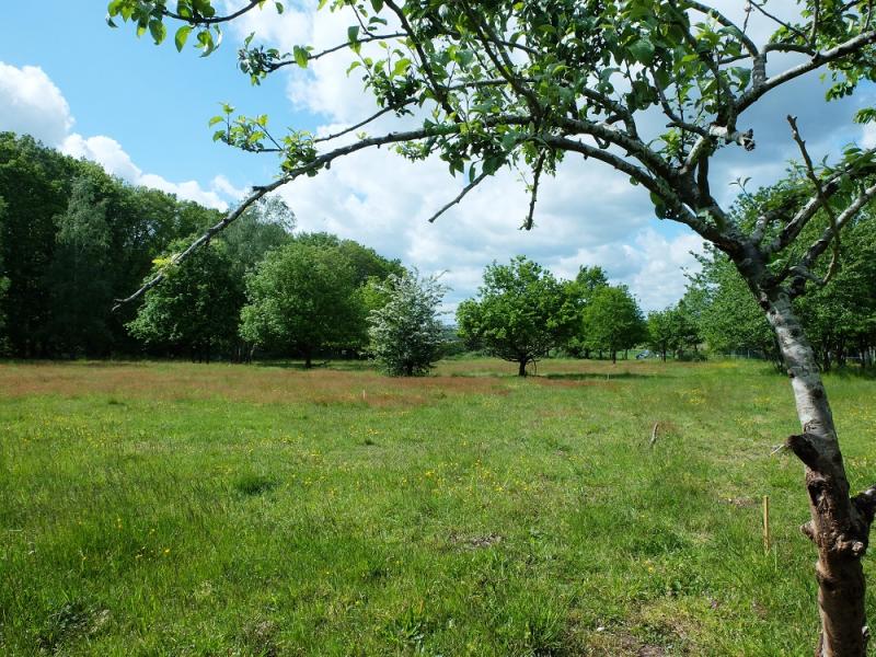 Le Hameau des Communs