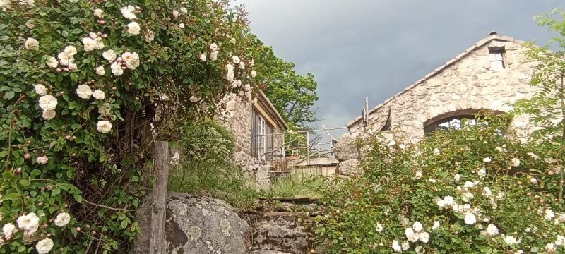 Eco-hameau La Colline