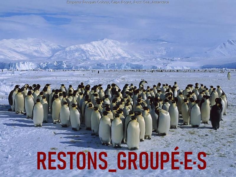 RESTONS_GROUPÉ·E·S