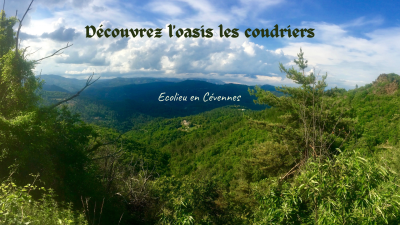 Oasis Les Coudriers