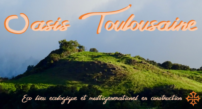 Oasis Toulousaine