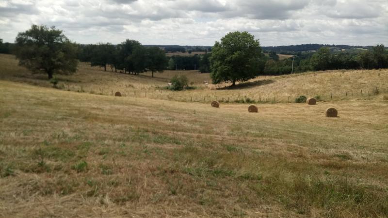 Ecolieu Des Cormiers - Association l'Arbre d'Ananda