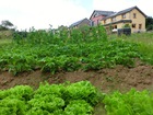 visitedelecohameaulepreauxgraines_le-pre-aux-graines-04.jpg
