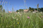 visiteetatelierhabitatparticipatifetecol_img_4194_gdf.jpg