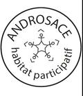 visitehabitatparticipatifandrosace_logo-androsace.jpg